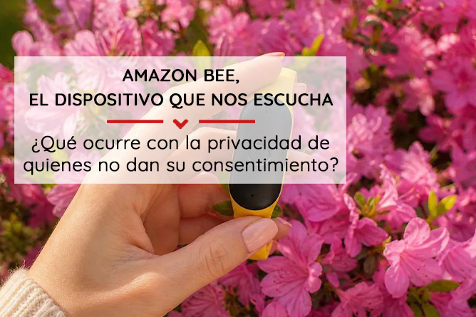 Amazon-Bee